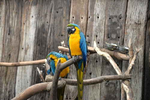 World of Birds Wildlife Sanctuary.